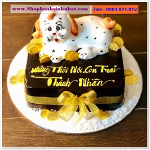 Bánh Sinh Nhật Socola - S09
